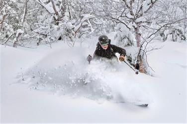 Image for: Midweek Daytime Hours Pass